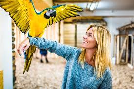 Największa Papugarnia Egzotyczne Zakopane